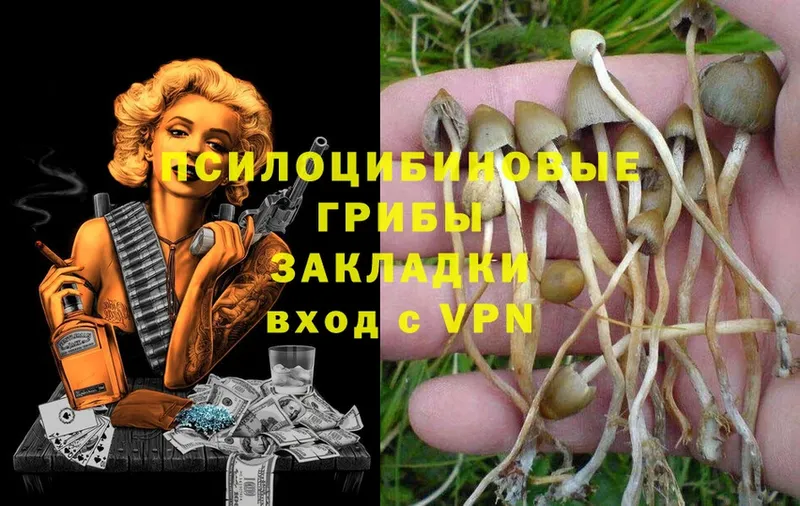 Псилоцибиновые грибы Psilocybe  МЕГА ССЫЛКА  Нариманов  наркотики 